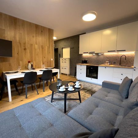 Urban Apartments Premium No 3, Free Private Parking, Self Check-In Chorzów Dış mekan fotoğraf